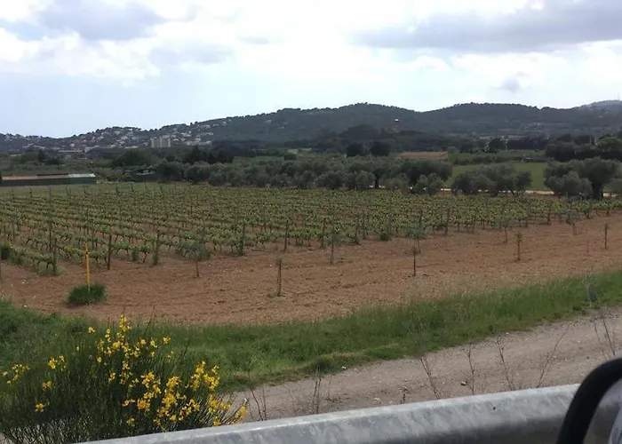 Pinar Del Mar