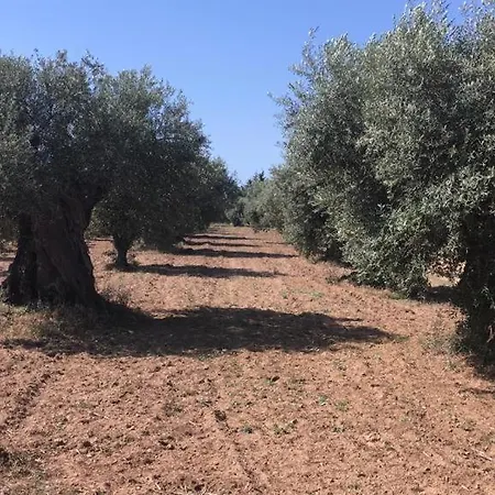 Pinar Del Mar מלון