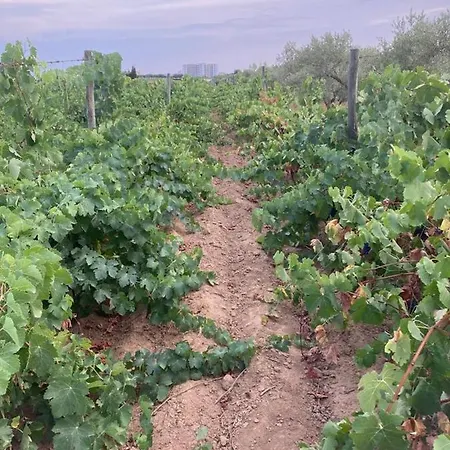 Pinar Del Mar מלון